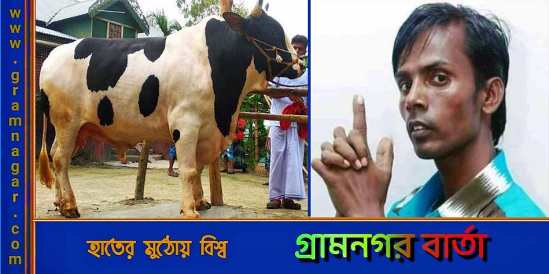 ভালোবেসে আমার নামে গরুর নাম রাখে : হিরো আলম ভালোবেসে আমার নামে গরুর নাম রাখে : হিরো আলম