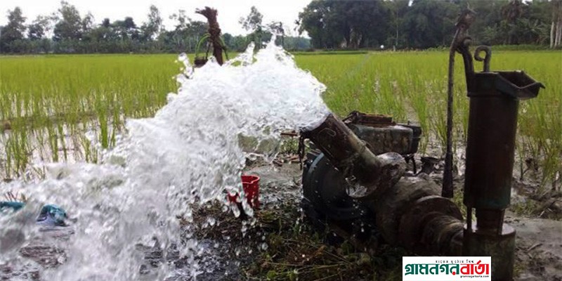 শ্রাবণেও বৃষ্টি নেই বগুড়ায় শ্যালোমেশিন লাগিয়ে জমিতে আমন চাষ শ্রাবণেও বৃষ্টি নেই বগুড়ায় শ্যালোমেশিন লাগিয়ে জমিতে আমন চাষ