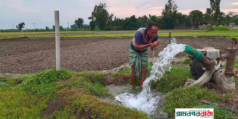 বগুড়ায় বর্ষা মৌসুমে বৃষ্টি না থাকায় আমন ধান চাষে খরচ বাড়ল কৃষকদের বগুড়ায় বর্ষা মৌসুমে বৃষ্টি না থাকায় আমন ধান চাষে খরচ বাড়ল কৃষকদের