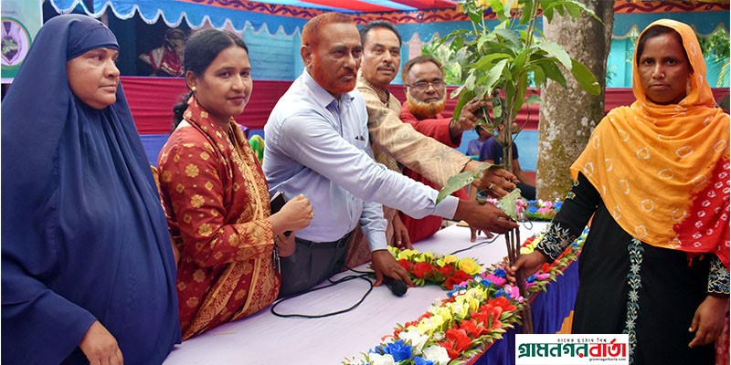 বগুড়ায় বিনামূল্যে চারাগাছ বিতরণ বগুড়ায় বিনামূল্যে চারাগাছ বিতরণ