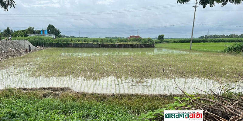 সিরাজদিখানে জোরপূর্বক জমি দখলের পায়তারা, থানায় অভিযোগ সিরাজদিখানে জোরপূর্বক জমি দখলের পায়তারা, থানায় অভিযোগ