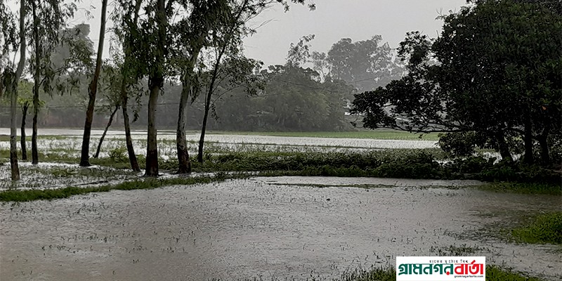 উত্তরাঞ্চলে খরা কাটিয়ে স্বাভাবিক রূপে ফিরেছে বর্ষা উত্তরাঞ্চলে খরা কাটিয়ে স্বাভাবিক রূপে ফিরেছে বর্ষা