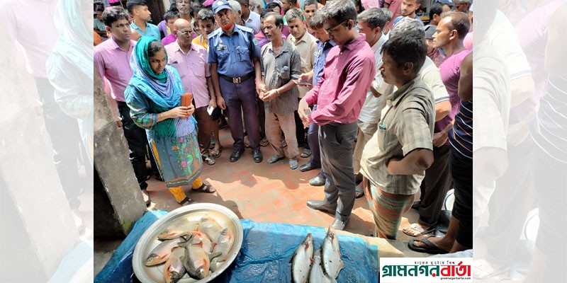 বগুড়ায় নিষিদ্ধ পিরানহা মাছ অবাধে বিক্রি, একজনের জরিমানা বগুড়ায় নিষিদ্ধ পিরানহা মাছ অবাধে বিক্রি, একজনের জরিমানা