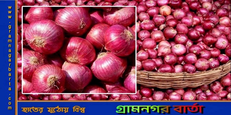 ভারত ছাড়াও আরও ৯ দেশ থেকে পেঁয়াজ আমদানির অনুমতি ভারত ছাড়াও আরও ৯ দেশ থেকে পেঁয়াজ আমদানির অনুমতি