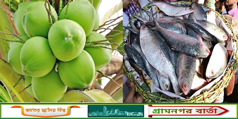 ভোক্তার অভিযানে পাইকারিতে কমলো ডাবের দাম, এবার ইলিশের বাজার ভোক্তার অভিযানে পাইকারিতে কমলো ডাবের দাম, এবার ইলিশের বাজার