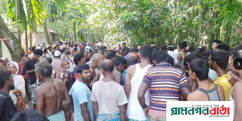 কাউনিয়ায় মীরবাগ রেল সেতুর ডোবা থেকে লাশ উদ্ধার কাউনিয়ায় মীরবাগ রেল সেতুর ডোবা থেকে লাশ উদ্ধার