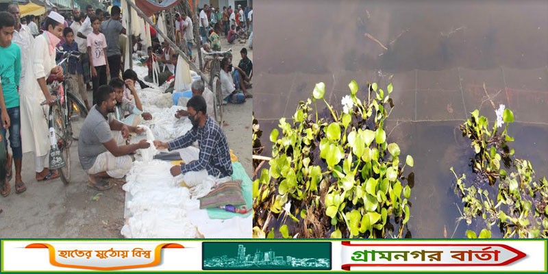 কাউনিয়ায় ভয়ঙ্কর জালের ফাঁদে দেশীয় প্রজাতির মাছ কাউনিয়ায় ভয়ঙ্কর জালের ফাঁদে দেশীয় প্রজাতির মাছ