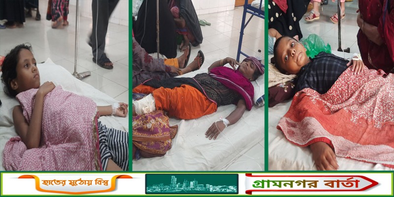 মাদারীপুরে পাগলা কুকুরের কামড়ে আহত অর্ধশত মাদারীপুরে পাগলা কুকুরের কামড়ে আহত অর্ধশত