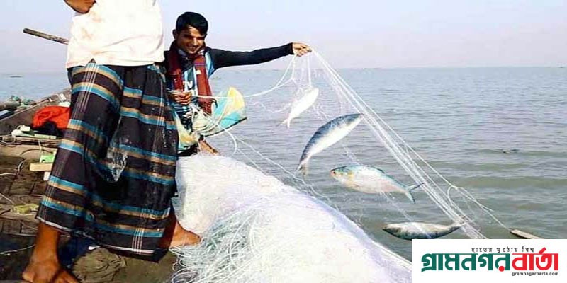 অক্টোববে ২২ দিন ইলিশ ধরা বন্ধ থাকবে অক্টোববে ২২ দিন ইলিশ ধরা বন্ধ থাকবে
