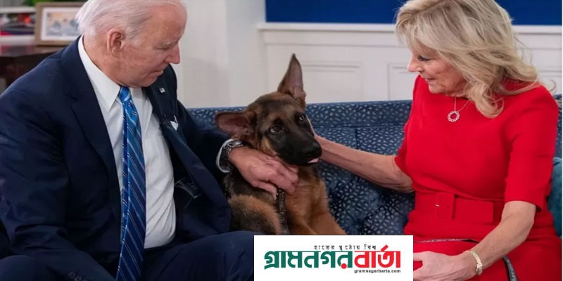 হোয়াইট হাউজে একের পর এক কামড়েই যাচ্ছে বাইডেনের কুকুর হোয়াইট হাউজে একের পর এক কামড়েই যাচ্ছে বাইডেনের কুকুর