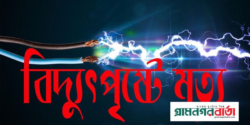 মুন্সীগঞ্জে পূজামণ্ডপে বিদ্যুৎস্পৃষ্ট হয়ে যুবকের মৃত্যু মুন্সীগঞ্জে পূজামণ্ডপে বিদ্যুৎস্পৃষ্ট হয়ে যুবকের মৃত্যু