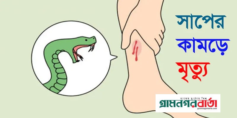 টঙ্গীবাড়ীতে সাপের কামড়ে যুবকের মৃত্যু টঙ্গীবাড়ীতে সাপের কামড়ে যুবকের মৃত্যু