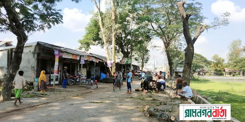 কাউনিয়ার মীরবাগে ড্রেনর গাছ কাটা শুরু কাউনিয়ার মীরবাগে ড্রেনর গাছ কাটা শুরু