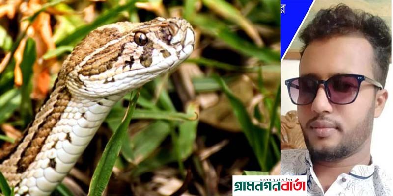 লৌহজংয়ে বিষধর সাপের কামড়ে আহত যুবকের মৃত্যু লৌহজংয়ে বিষধর সাপের কামড়ে আহত যুবকের মৃত্যু