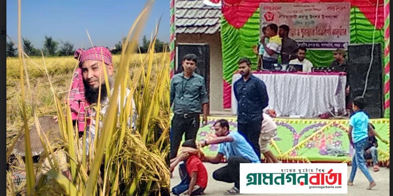 নবান্নে নতুন ধানের ঘ্রাণ নবান্নে নতুন ধানের ঘ্রাণ