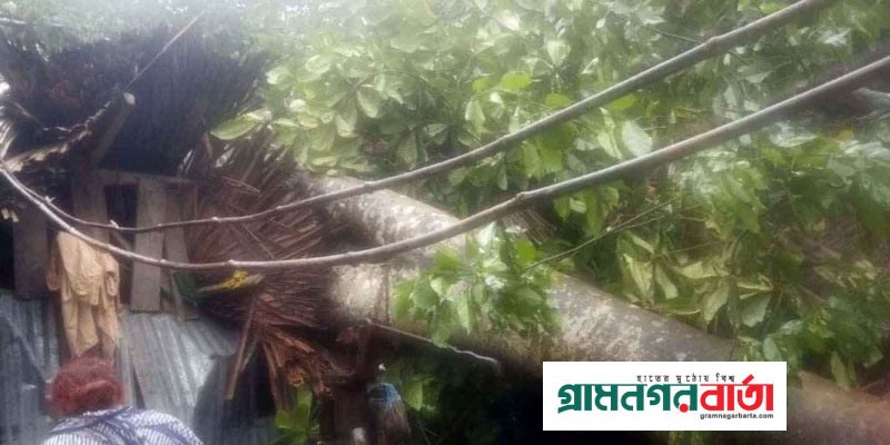 ঘূর্ণিঝড় মিধিলির প্রভাবে একই পরিবারের চারজনসহ প্রাণ গেল ৭ জনের ঘূর্ণিঝড় মিধিলির প্রভাবে একই পরিবারের চারজনসহ প্রাণ গেল ৭ জনের