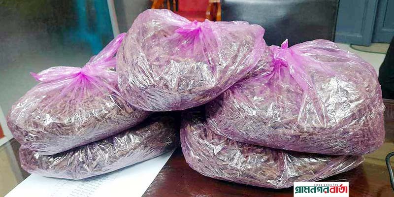 বগুড়ায় ট্রেন থেকে সাড়ে চার কেজি গাঁজা উদ্ধার বগুড়ায় ট্রেন থেকে সাড়ে চার কেজি গাঁজা উদ্ধার