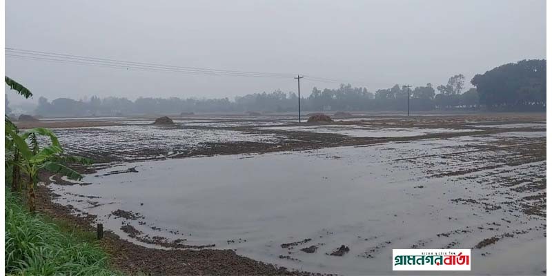 সিরাজদিখানে ভারী বর্ষণে আলু চাষিদের ব্যাপক ক্ষতি সিরাজদিখানে ভারী বর্ষণে আলু চাষিদের ব্যাপক ক্ষতি