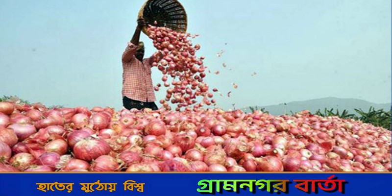 পেঁয়াজের সরবরাহ পর্যাপ্ত, তবুও বাজার চড়া পেঁয়াজের সরবরাহ পর্যাপ্ত, তবুও বাজার চড়া
