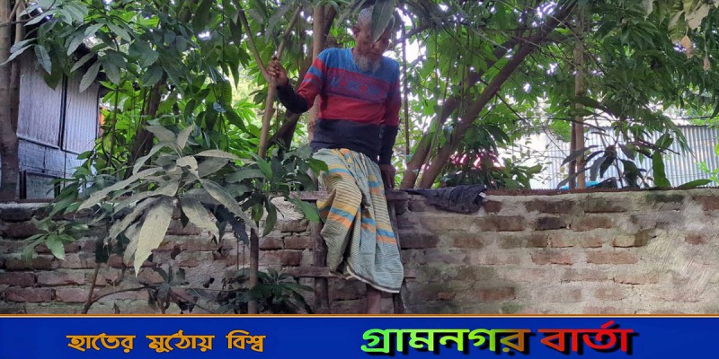 লৌহজংয়ে বাড়ির সীমানায় দেয়াল তুলে রাস্তা বন্ধ, ঘরে যেতে হয় মই দিয়ে লৌহজংয়ে বাড়ির সীমানায় দেয়াল তুলে রাস্তা বন্ধ, ঘরে যেতে হয় মই দিয়ে