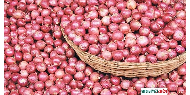 আবারও বাড়লো পেঁয়াজের দাম আবারও বাড়লো পেঁয়াজের দাম
