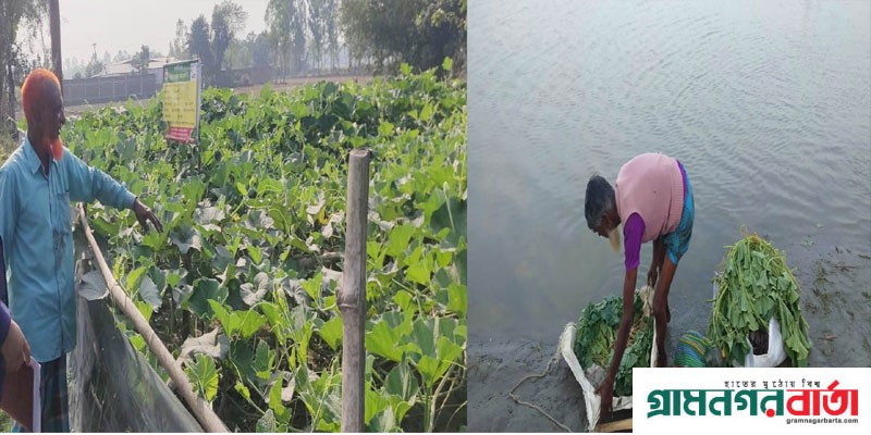 কাউনিয়ায় শীতের শাক সবজির দাম ভালো পাওয়ায় খুশি তিস্তার চরের চাষিরা কাউনিয়ায় শীতের শাক সবজির দাম ভালো পাওয়ায় খুশি তিস্তার চরের চাষিরা