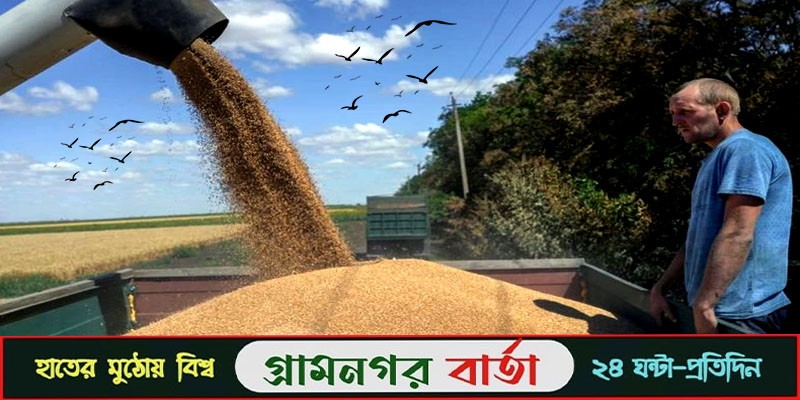 নতুন বছরে বিশ্ববাজারে কৃষিপণ্যের সরবরাহ পড়বে ঝুঁকির মধ্যে নতুন বছরে বিশ্ববাজারে কৃষিপণ্যের সরবরাহ পড়বে ঝুঁকির মধ্যে