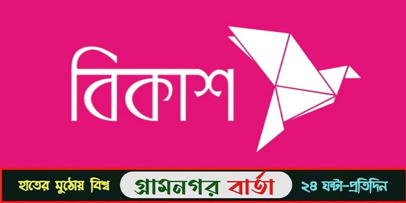 এনআরবি ডে অ্যাওয়ার্ড ২০২৩ পেল বিকাশ এনআরবি ডে অ্যাওয়ার্ড ২০২৩ পেল বিকাশ