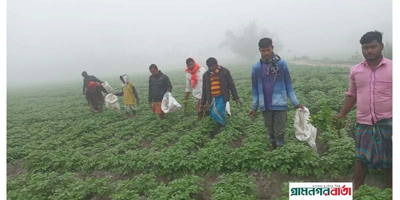 শীতোত হামরা মরি যাই, চরত কায়েও কম্বল দেয় না শীতোত হামরা মরি যাই, চরত কায়েও কম্বল দেয় না