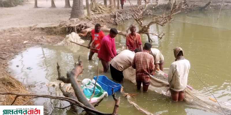 আদমদীঘিতে খাস পুকুরের অর্ধকোটি টাকার পোনামাছ জব্দের অভিযোগ আদমদীঘিতে খাস পুকুরের অর্ধকোটি টাকার পোনামাছ জব্দের অভিযোগ