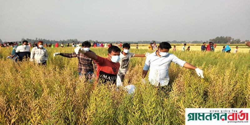 নন্দীগ্রামে অজ্ঞাত যুবকের অর্ধগলিত মরদেহ উদ্ধার নন্দীগ্রামে অজ্ঞাত যুবকের অর্ধগলিত মরদেহ উদ্ধার