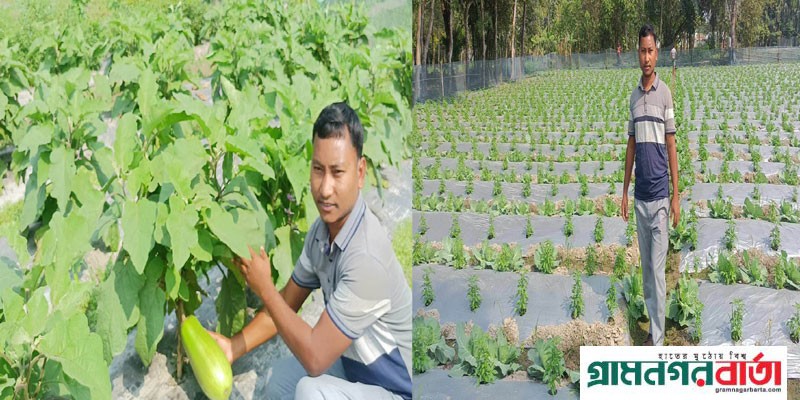 কৃষি উদ্যাক্তা অরুন কুমারের বিষ মুক্ত মিশ্র ফসল চাষে বাজিমাত কৃষি উদ্যাক্তা অরুন কুমারের বিষ মুক্ত মিশ্র ফসল চাষে বাজিমাত