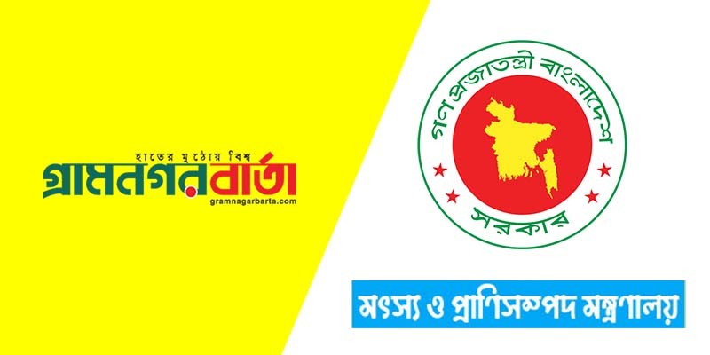 রমজানে নির্দিষ্ট স্থানে মিলবে সুলভ মূল্যে ডিম, দুধ ও মাংস রমজানে নির্দিষ্ট স্থানে মিলবে সুলভ মূল্যে ডিম, দুধ ও মাংস