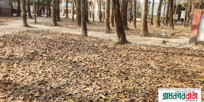 কাউনিয়ায় কবি গুরুর ভাষায়, ঝরাপাতা গো, আমি তোমাদেরই দলে কাউনিয়ায় কবি গুরুর ভাষায়, ঝরাপাতা গো, আমি তোমাদেরই দলে