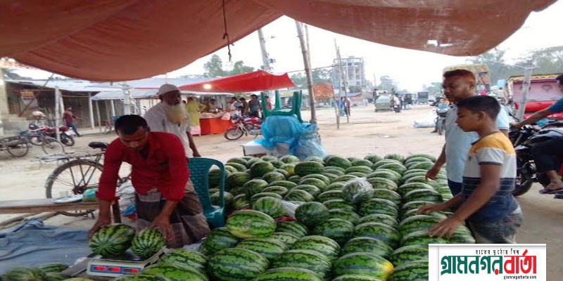 নন্দীগ্রামে তরমুজ ও কলার দাম দ্বিগুণ নন্দীগ্রামে তরমুজ ও কলার দাম দ্বিগুণ