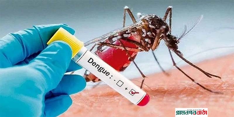 এ বছর ডেঙ্গু পরিস্থিতি আরো খারাপ হওয়ার আশঙ্কা এ বছর ডেঙ্গু পরিস্থিতি আরো খারাপ হওয়ার আশঙ্কা