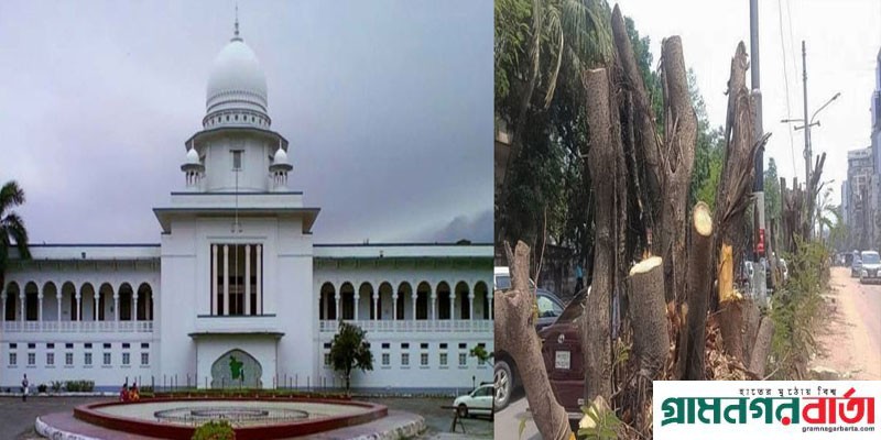 গাছ লাগানো এবং কাটার ক্ষেত্রে কেন আইন নয়, জানতে চেয়ে হাইকোর্টে রুল গাছ লাগানো এবং কাটার ক্ষেত্রে কেন আইন নয়, জানতে চেয়ে হাইকোর্টে রুল