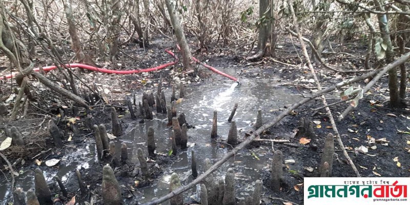 সুন্দরবনের আগুন, সতর্কতার জন্য চলছে অনুসন্ধান সুন্দরবনের আগুন, সতর্কতার জন্য চলছে অনুসন্ধান
