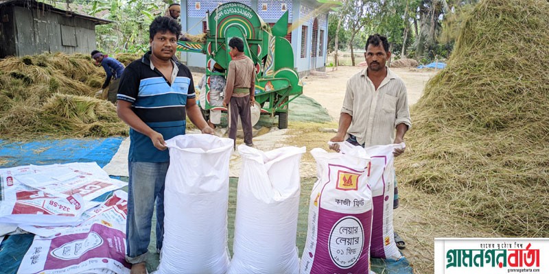 ধানের ন্যায্য মূল্য না পেয়ে কৃষকরা হতাশ ধানের ন্যায্য মূল্য না পেয়ে কৃষকরা হতাশ