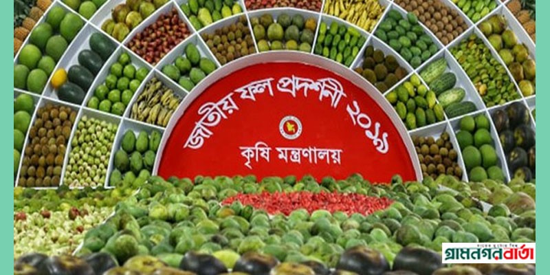 শুরু হচ্ছে জাতীয় ফল মেলা শুরু হচ্ছে জাতীয় ফল মেলা