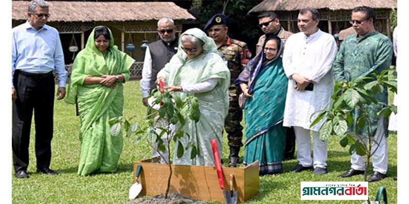 জাতীয় বৃক্ষরোপণ অভিযান উদ্বোধন করলেন প্রধানমন্ত্রী জাতীয় বৃক্ষরোপণ অভিযান উদ্বোধন করলেন প্রধানমন্ত্রী