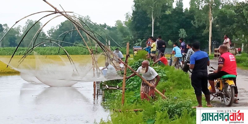 কাউনিয়ায় নতুন পানিতে মাছ ধরার আনন্দ কাউনিয়ায় নতুন পানিতে মাছ ধরার আনন্দ