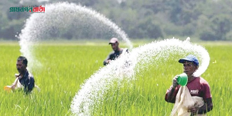 ২৪৬ কোটি টাকায় ৪০ টন ডিএপি সার কিনবে সরকার ২৪৬ কোটি টাকায় ৪০ টন ডিএপি সার কিনবে সরকার