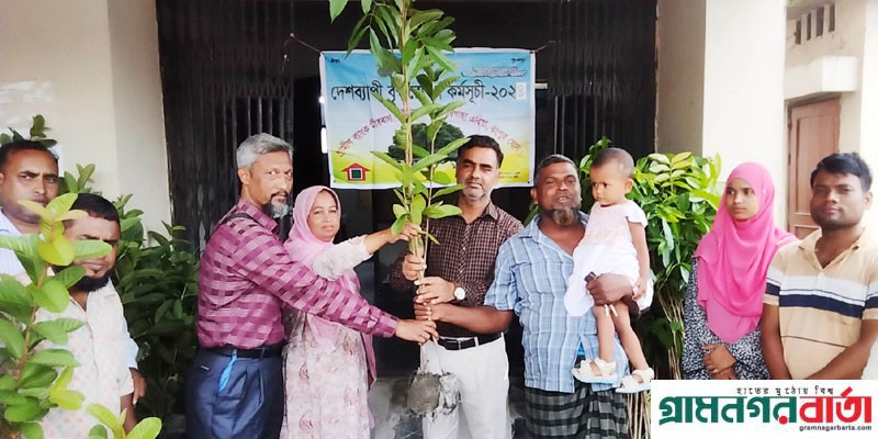 গ্রামীণ ব্যাংক কাউনিয়া মীরবাগ শাখার গাছের চারা বিতরণ