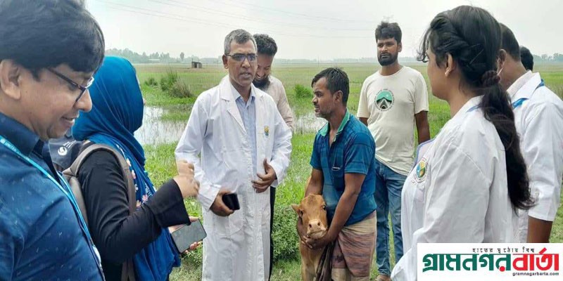 আদমদীঘিতে ল্যাম্পি স্কিন গরু মৃত্যুর ঘটনায় ঢাকার বিশেষজ্ঞ দলের পরিদর্শন আদমদীঘিতে ল্যাম্পি স্কিন গরু মৃত্যুর ঘটনায় ঢাকার বিশেষজ্ঞ দলের পরিদর্শন