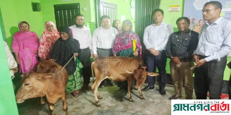 ব্র্যাক ইউপিজি সদস্যদের মাঝে মিঠাপুকুরে গরু হস্তান্তর ব্র্যাক ইউপিজি সদস্যদের মাঝে মিঠাপুকুরে গরু হস্তান্তর