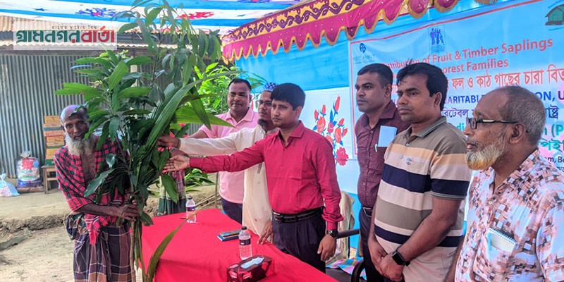 নন্দীগ্রামে পিইপির উদ্যোগে দরিদ্র পরিবারের মাঝে গাছের চারা বিতরণ নন্দীগ্রামে পিইপির উদ্যোগে দরিদ্র পরিবারের মাঝে গাছের চারা বিতরণ