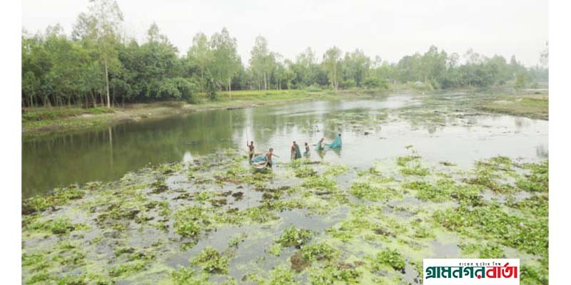 মৎস্য ভান্ডার কাউনিয়ায় হারিয়ে যাচ্ছে প্রায় ৪১ প্রজাতির দেশী মাছ মৎস্য ভান্ডার কাউনিয়ায় হারিয়ে যাচ্ছে প্রায় ৪১ প্রজাতির দেশী মাছ