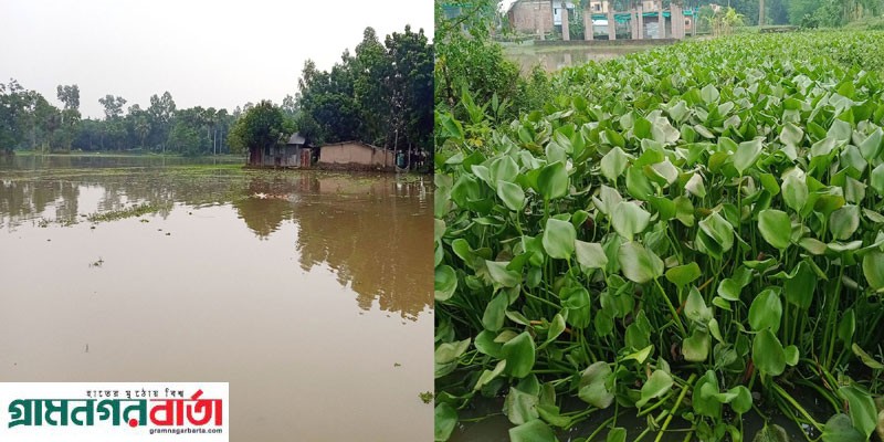 আদমদীঘিতে ড্রেন ভরাট হয়ে জলাবদ্ধতা দুর্ভোগ গ্রামবাসির আদমদীঘিতে ড্রেন ভরাট হয়ে জলাবদ্ধতা দুর্ভোগ গ্রামবাসির
