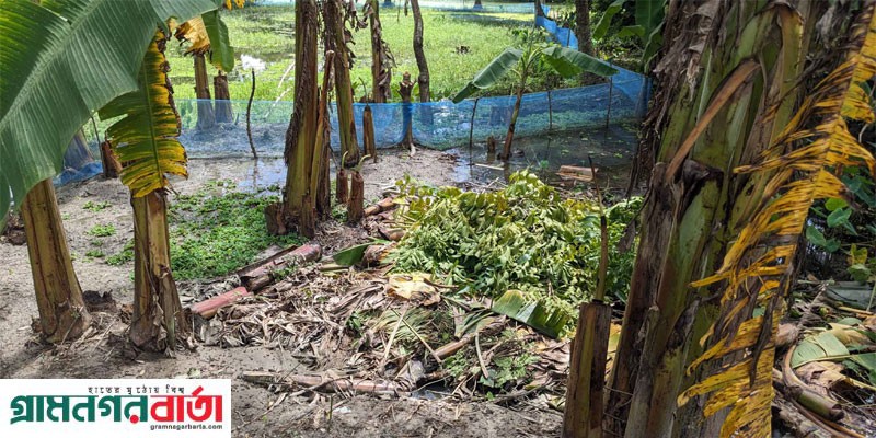 কচুয়ায় জোরপূর্বক কৃষকের জমি দখলের অভিযোগ কচুয়ায় জোরপূর্বক কৃষকের জমি দখলের অভিযোগ